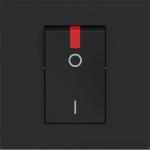 32 أمبير - مفتاح 250 فولت تيار متردد 2P (يُباع المنتج في عبوة صندوقية) (BT-RG4011P)