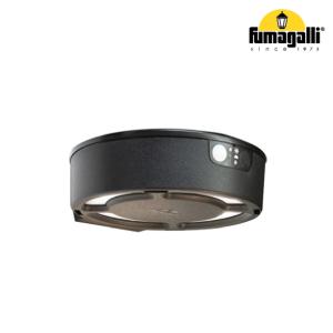 كشاف حديقة LED بالطاقة الشمسية، FORTUNATO مع حساس حركة 4x18 سم IP55 CCT